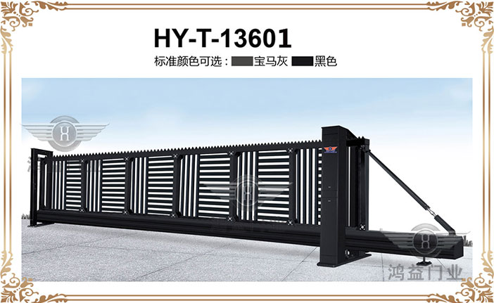 HY-T-13601.jpg