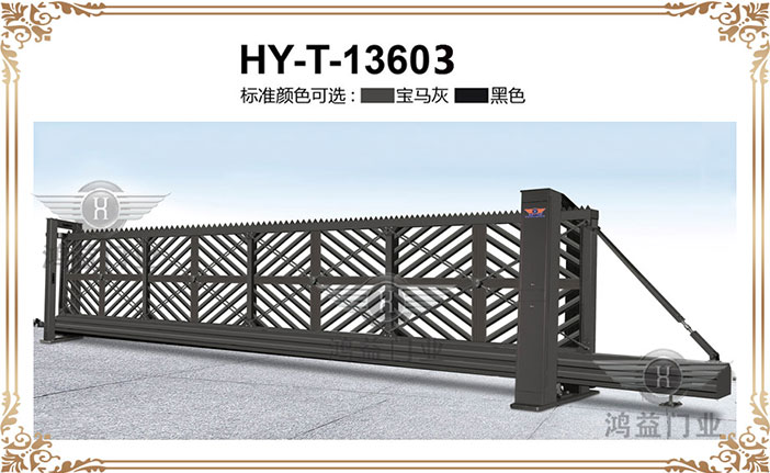 HY-T-13603.jpg