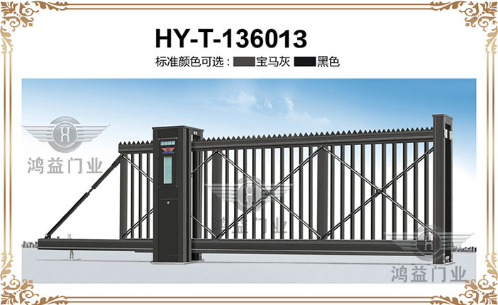 HY-T-136013.jpg